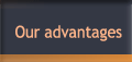 Our advantages